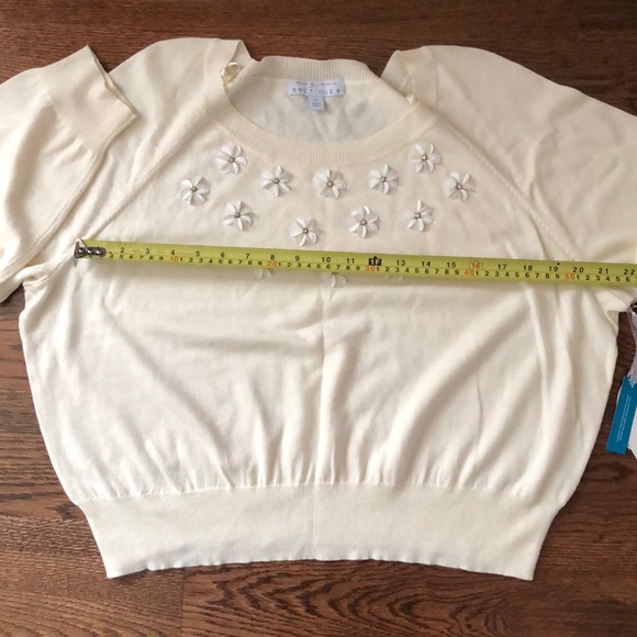 Ashley Nell Tipton Beautiful sweater Ivory New - Picture 8 of 8